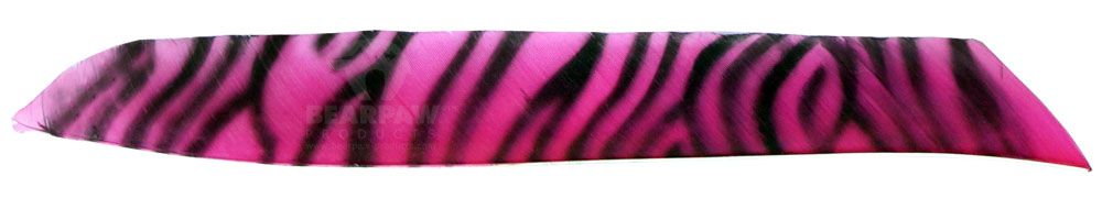 BP Feather Full Length RW zebra