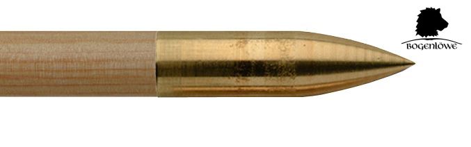 Brass Screw Point, Bullet, 5/16,